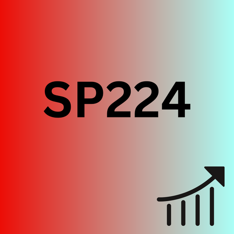 SP224 - Strategy and Performance