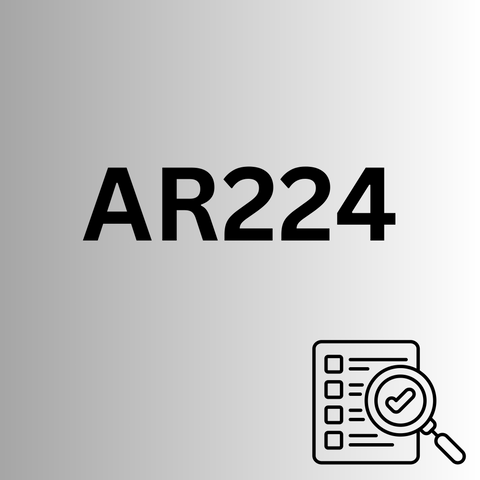AR224 - Audit and Risk