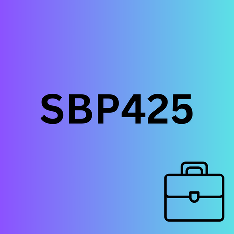 SBP425 - Strategy and Business Performance
