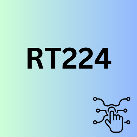 RT224 - Risk and Technology